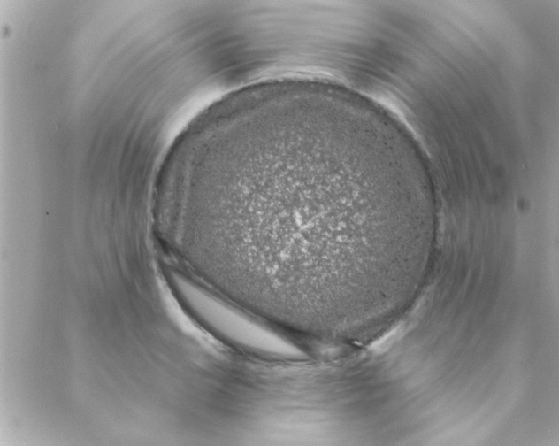 X0000088621038200706151847