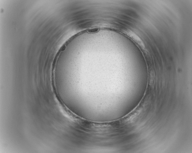 X0000088621039200706151847