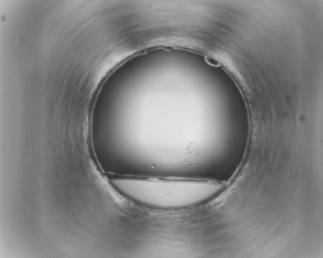 X0000088621040200706151847