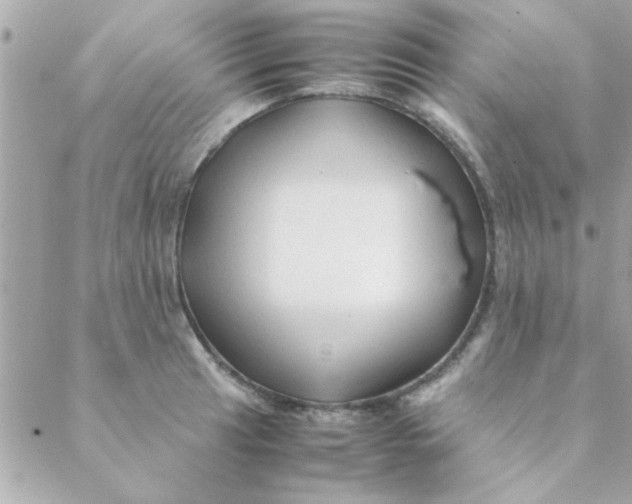 X0000088621041200706151847