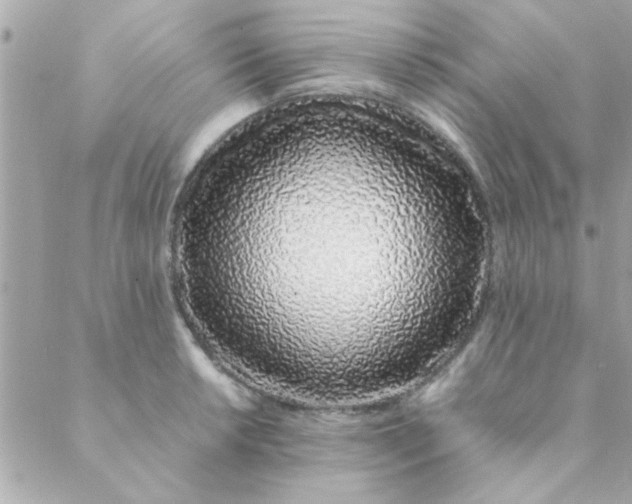 X0000088621042200706151847