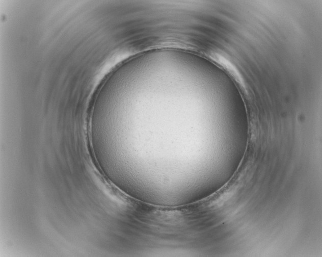 X0000088621043200706151847