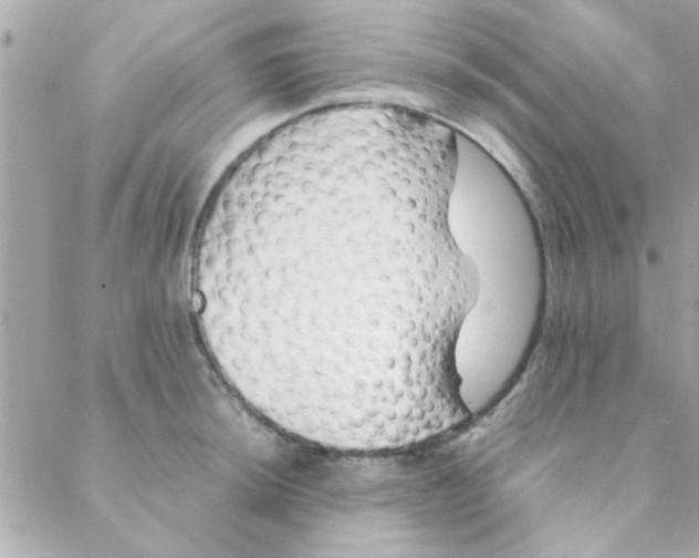 X0000088621044200706151847