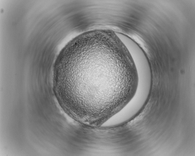 X0000088621046200706151847