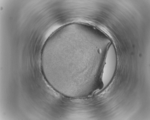 X0000088621048200706151847