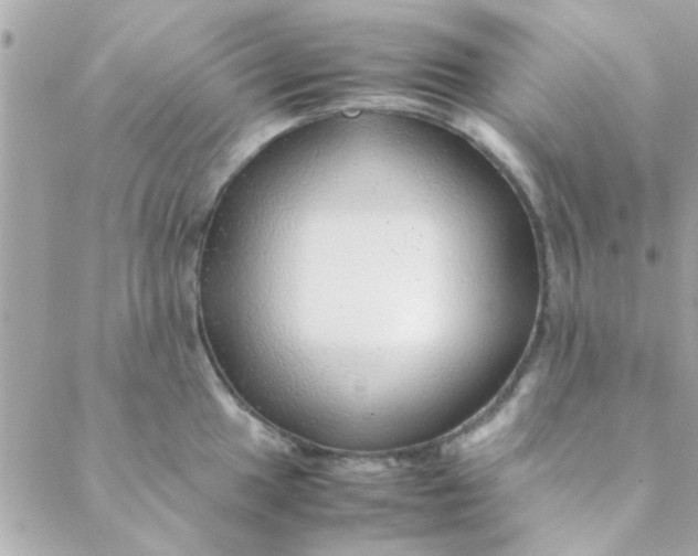 X0000088621049200706151847