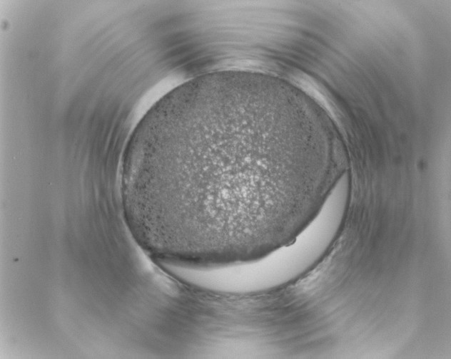 X0000088621050200706151847