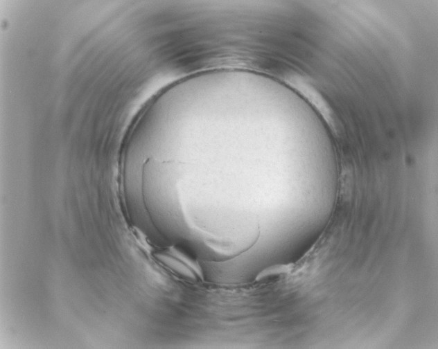 X0000088621051200706151847