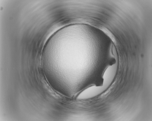 X0000088621052200706151847