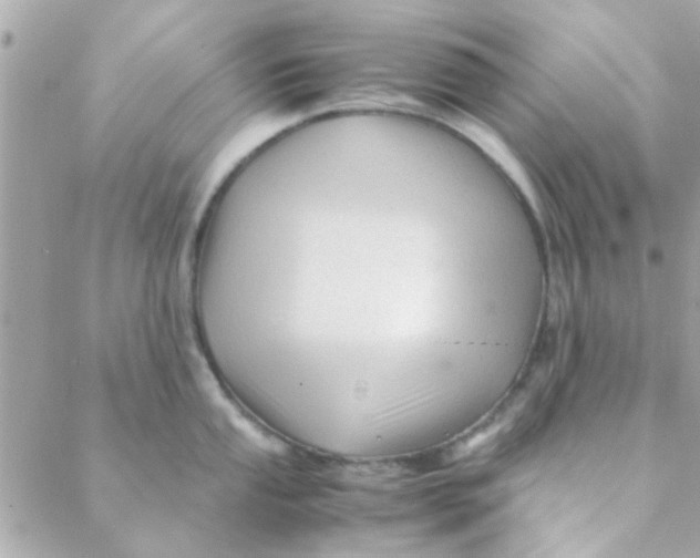 X0000088621053200706151847