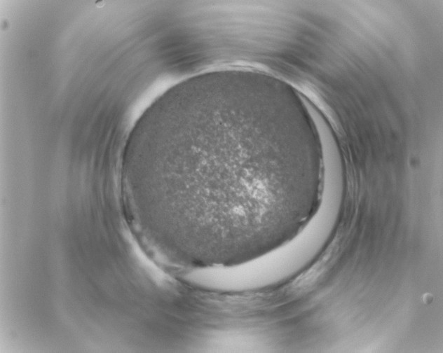 X0000088621054200706151847