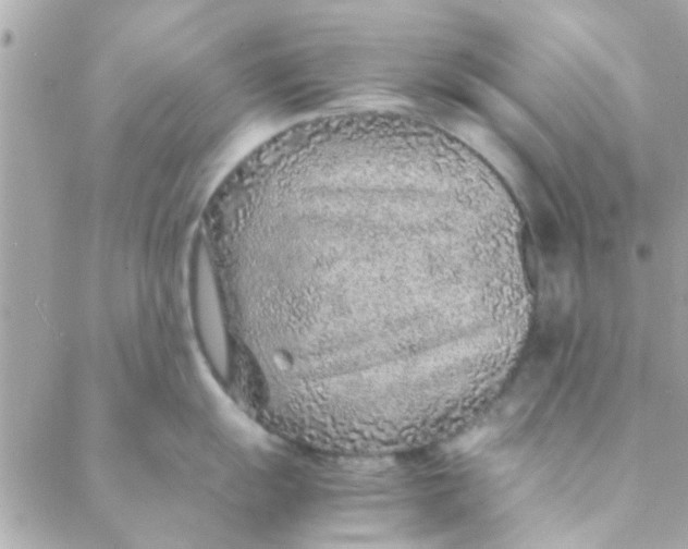 X0000088621055200706151847