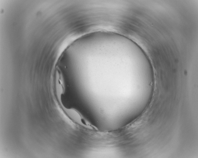 X0000088621056200706151847