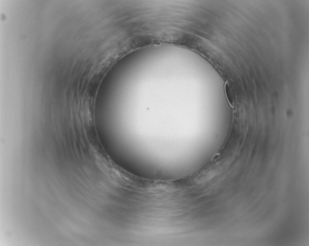 X0000088621058200706151846