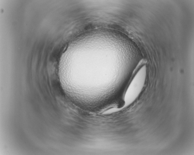 X0000088621059200706151846