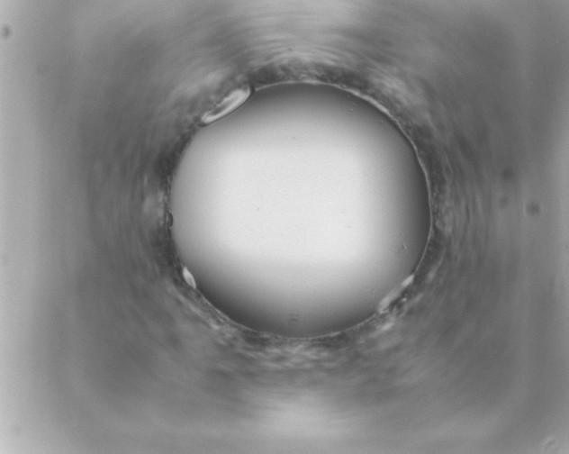 X0000088621061200706151846