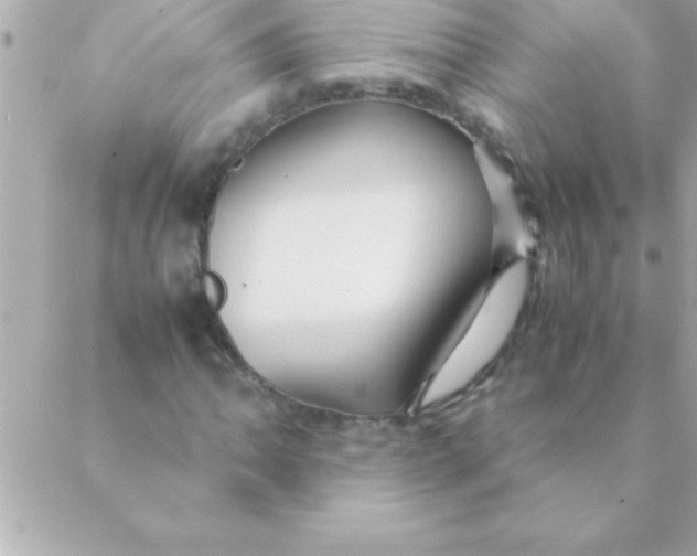 X0000088621062200706151846