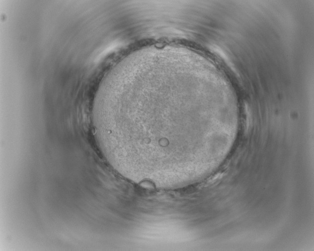 X0000088621063200706151846