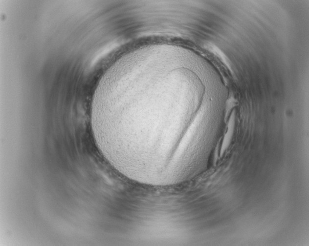 X0000088621064200706151846