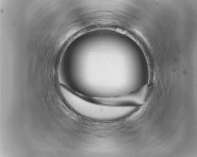 X0000088621065200706151846