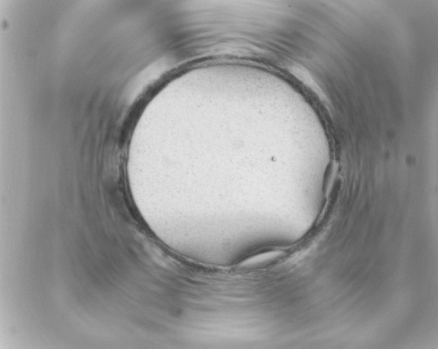 X0000088621067200706151846