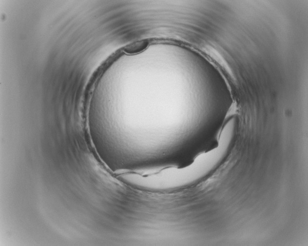 X0000088621068200706151846