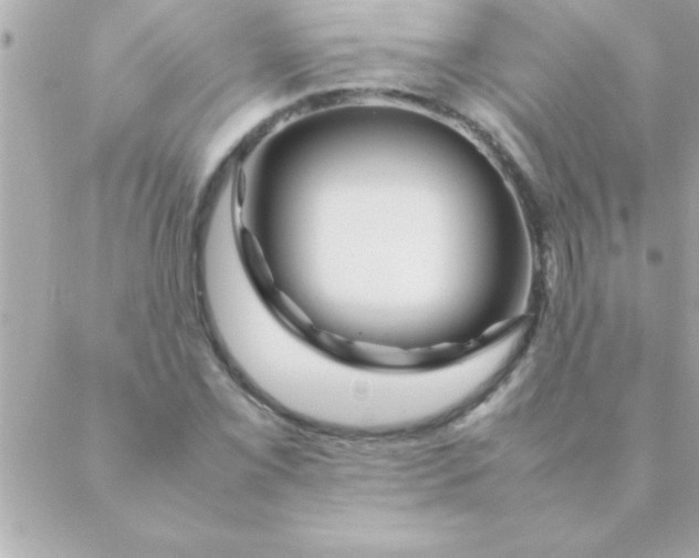 X0000088621069200706151846