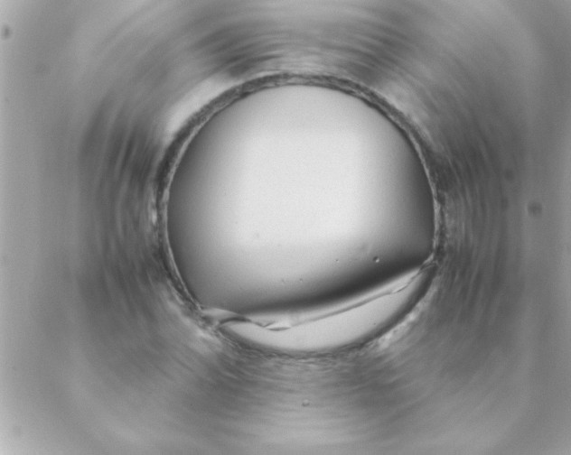 X0000088621070200706151846