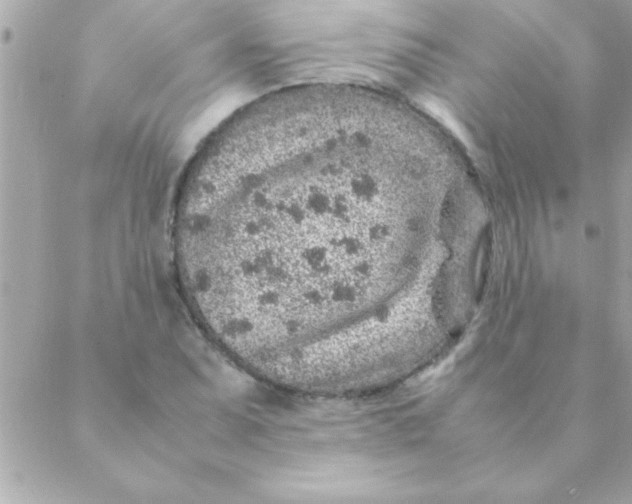 X0000088621071200706151846