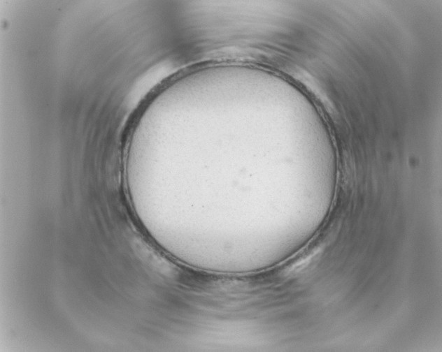 X0000088621075200706151846