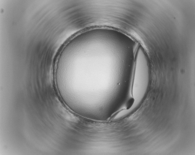 X0000088621076200706151846