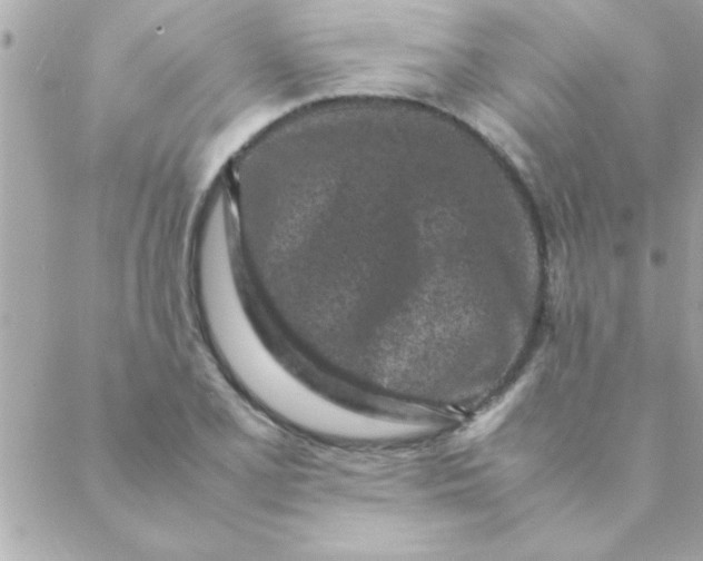 X0000088621077200706151846