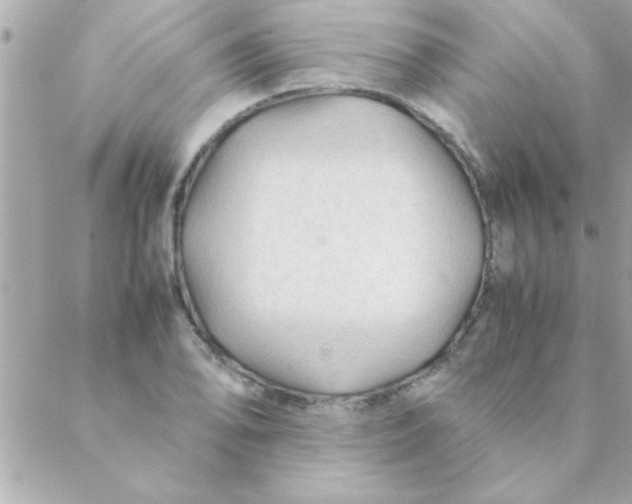 X0000088621078200706151846