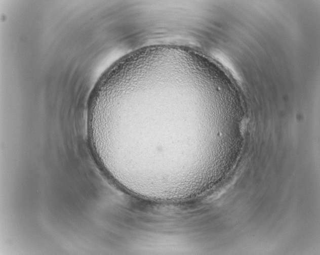 X0000088621079200706151846