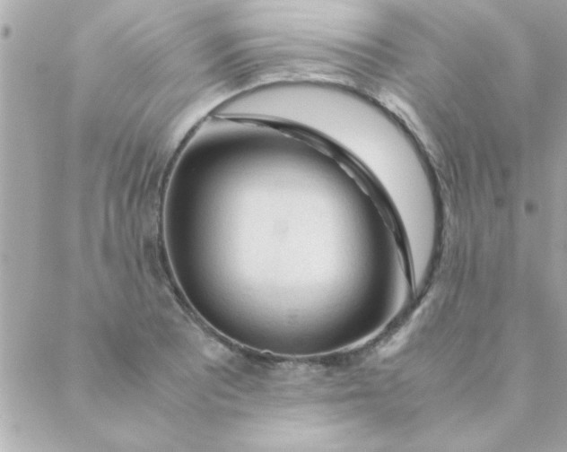 X0000088621081200706151846