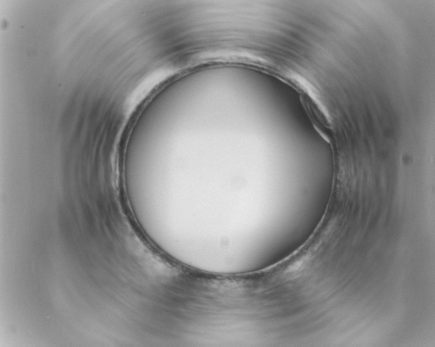 X0000088621082200706151846