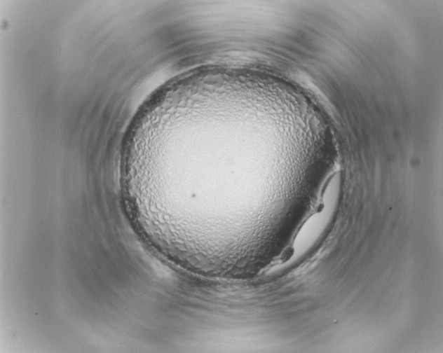 X0000088621083200706151846