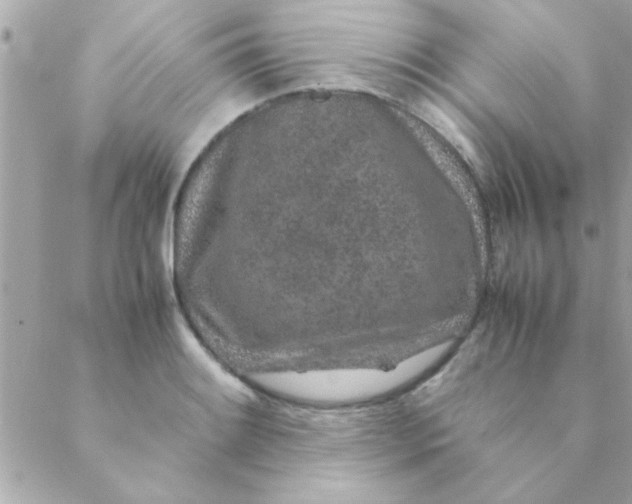 X0000088621084200706151846