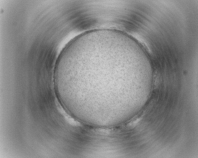 X0000088621086200706151846