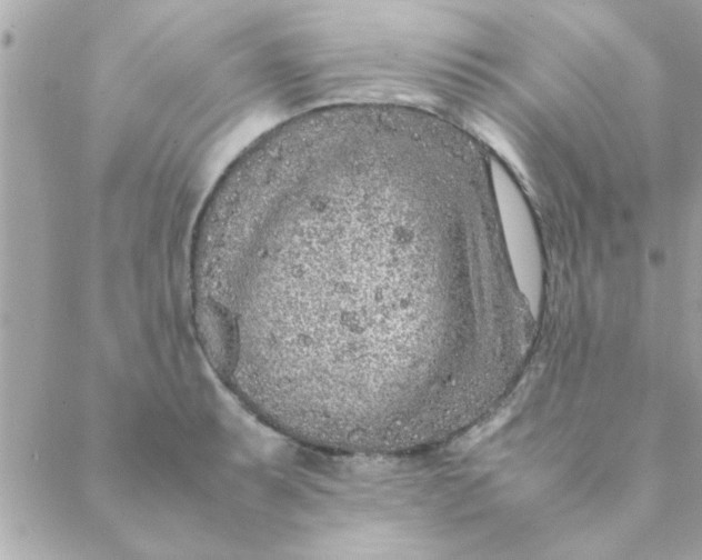 X0000088621087200706151846