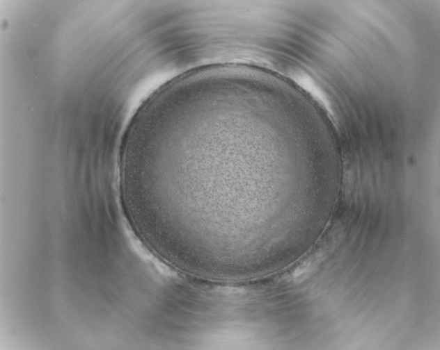 X0000088621088200706151846