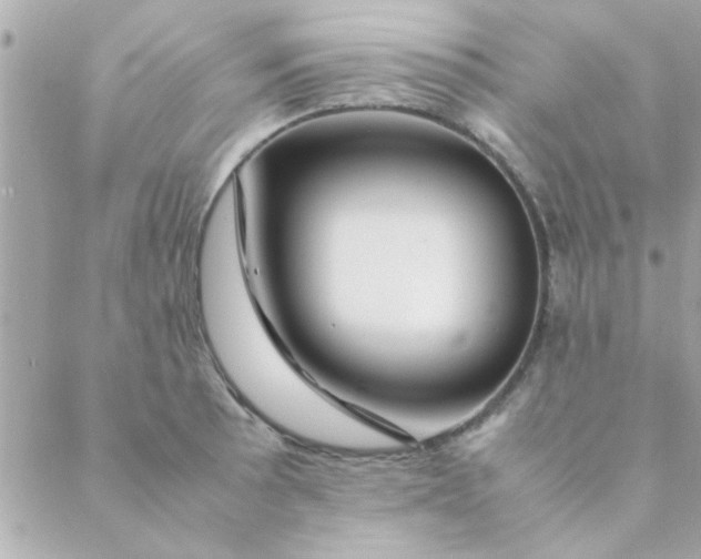 X0000088621089200706151846