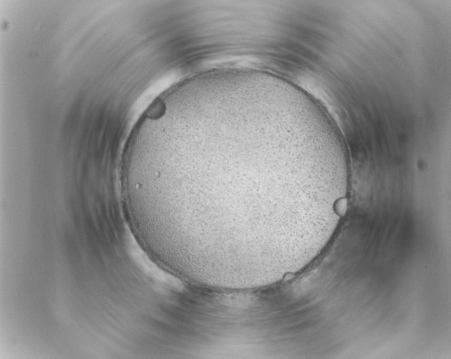 X0000088621090200706151846