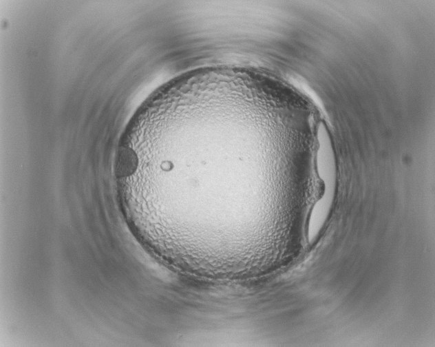 X0000088621091200706151846