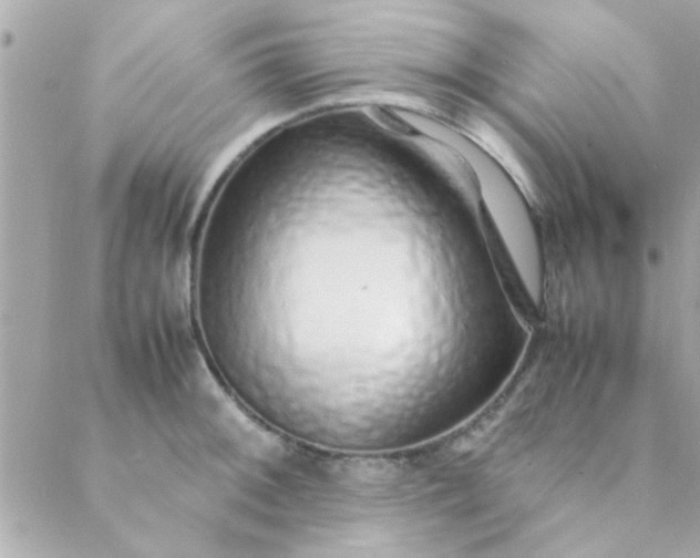 X0000088621092200706151846