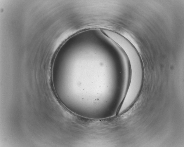 X0000088621093200706151846