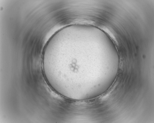 X0000088621094200706151846