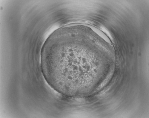 X0000088621095200706151846