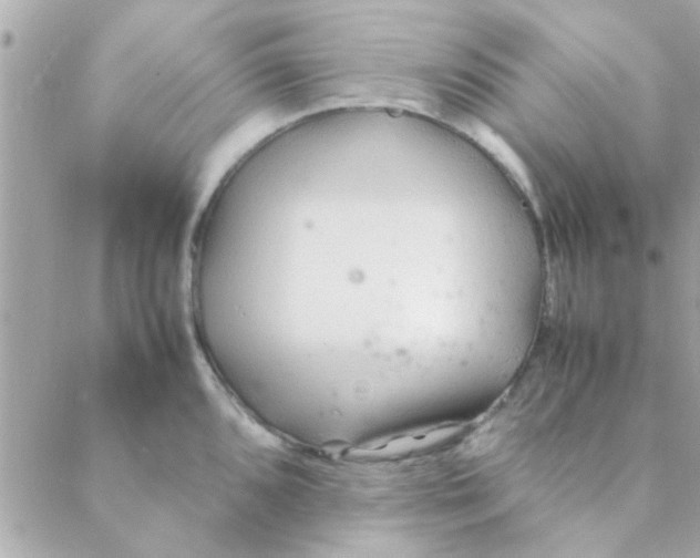 X0000088621096200706151846