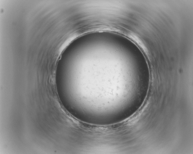 X0000088621097200706151846